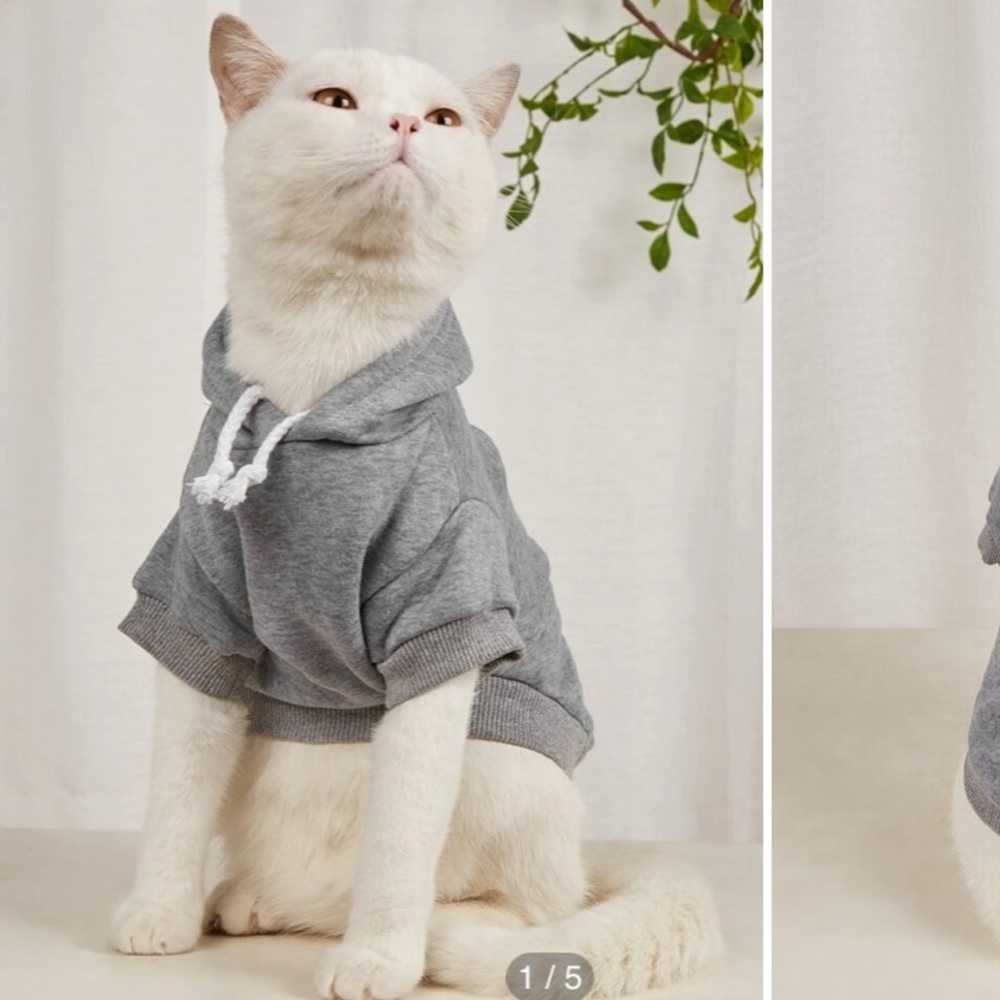 Gray pet hoodie